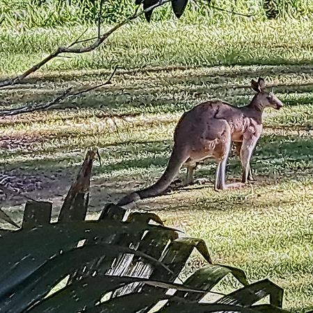 Forest View Bungalow Nambucca Heads Zewnętrze zdjęcie