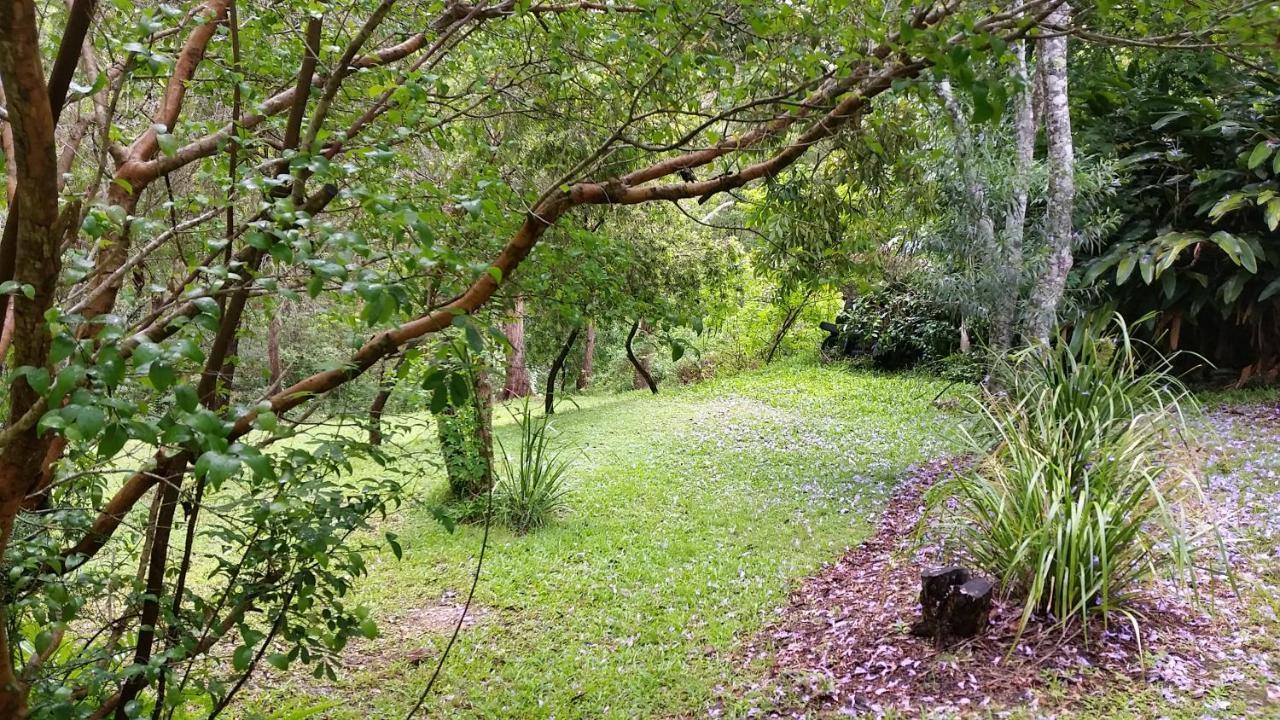 Forest View Bungalow Nambucca Heads Zewnętrze zdjęcie