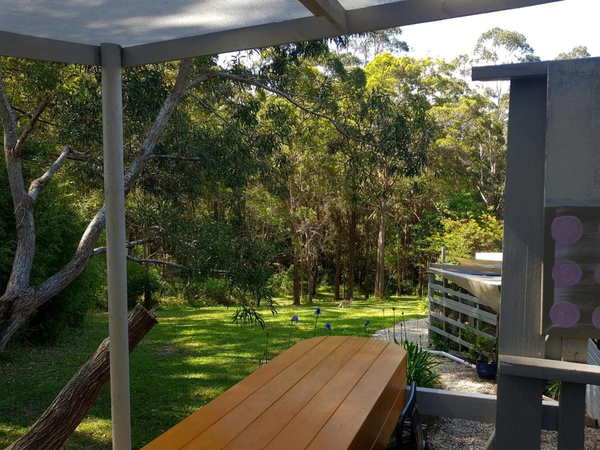Forest View Bungalow Nambucca Heads Zewnętrze zdjęcie