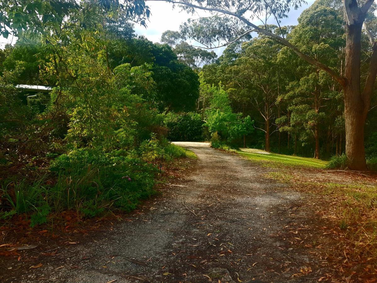Forest View Bungalow Nambucca Heads Zewnętrze zdjęcie
