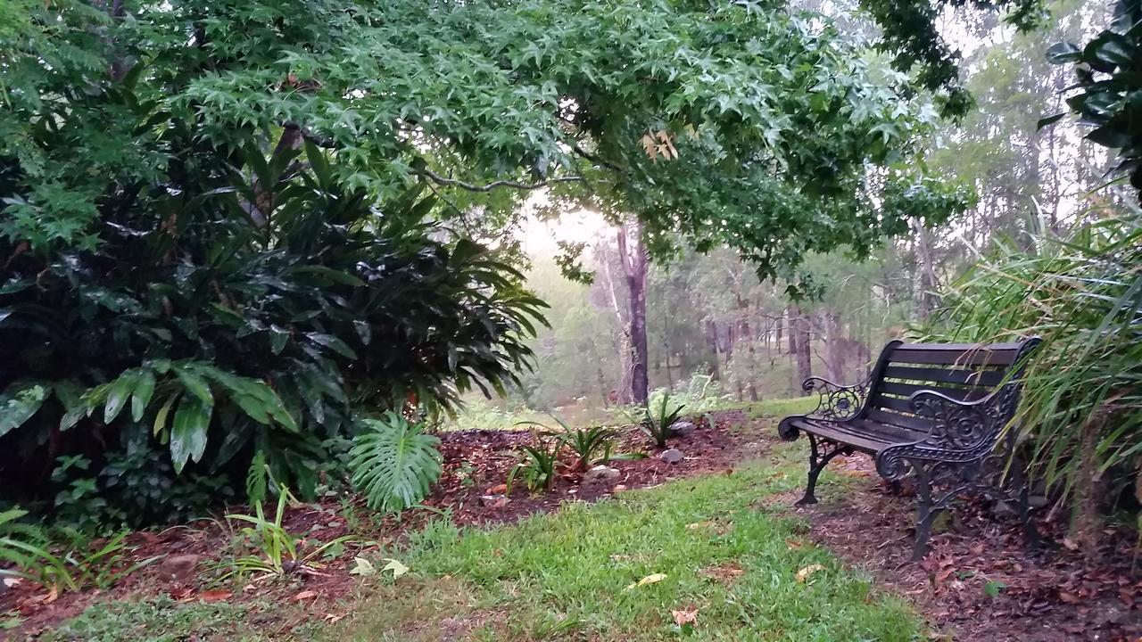 Forest View Bungalow Nambucca Heads Zewnętrze zdjęcie