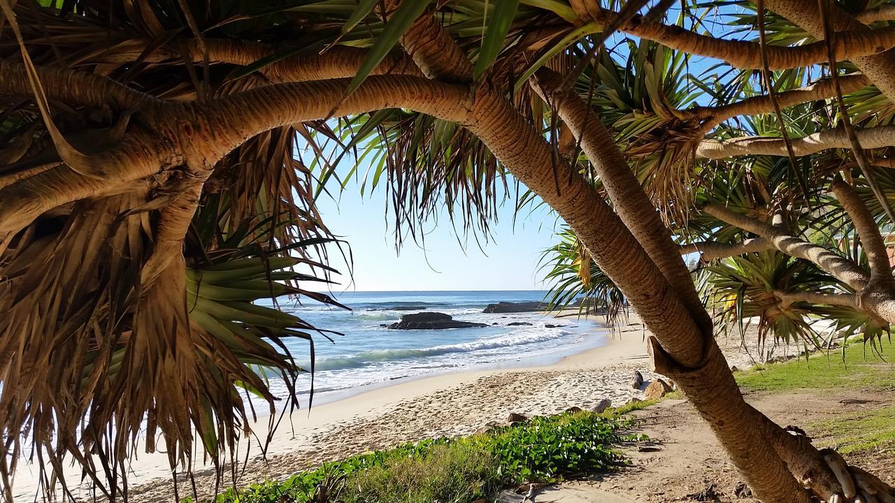 Forest View Bungalow Nambucca Heads Zewnętrze zdjęcie