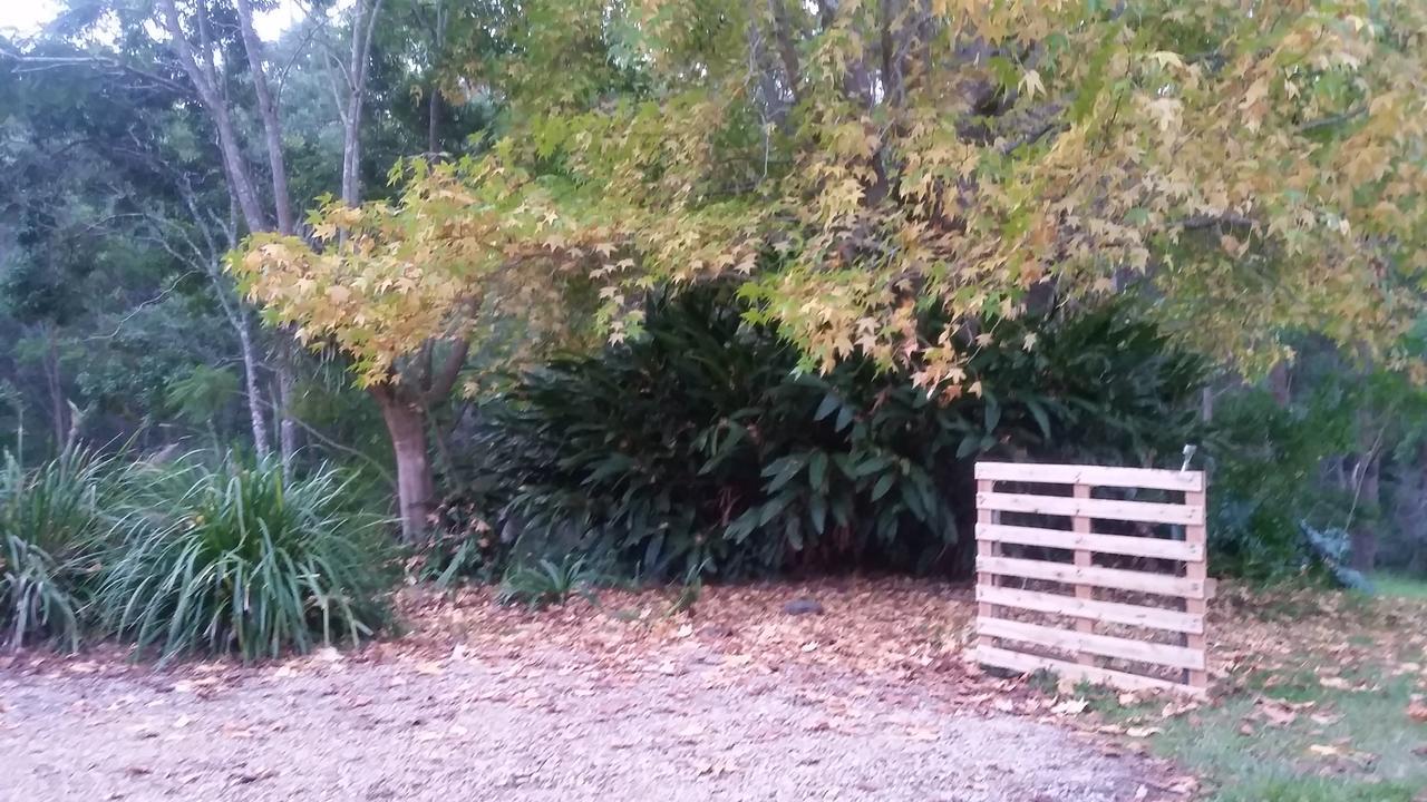 Forest View Bungalow Nambucca Heads Zewnętrze zdjęcie