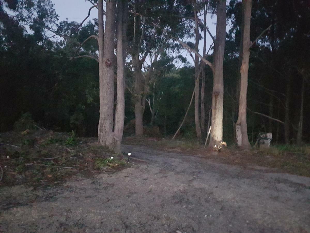 Forest View Bungalow Nambucca Heads Zewnętrze zdjęcie