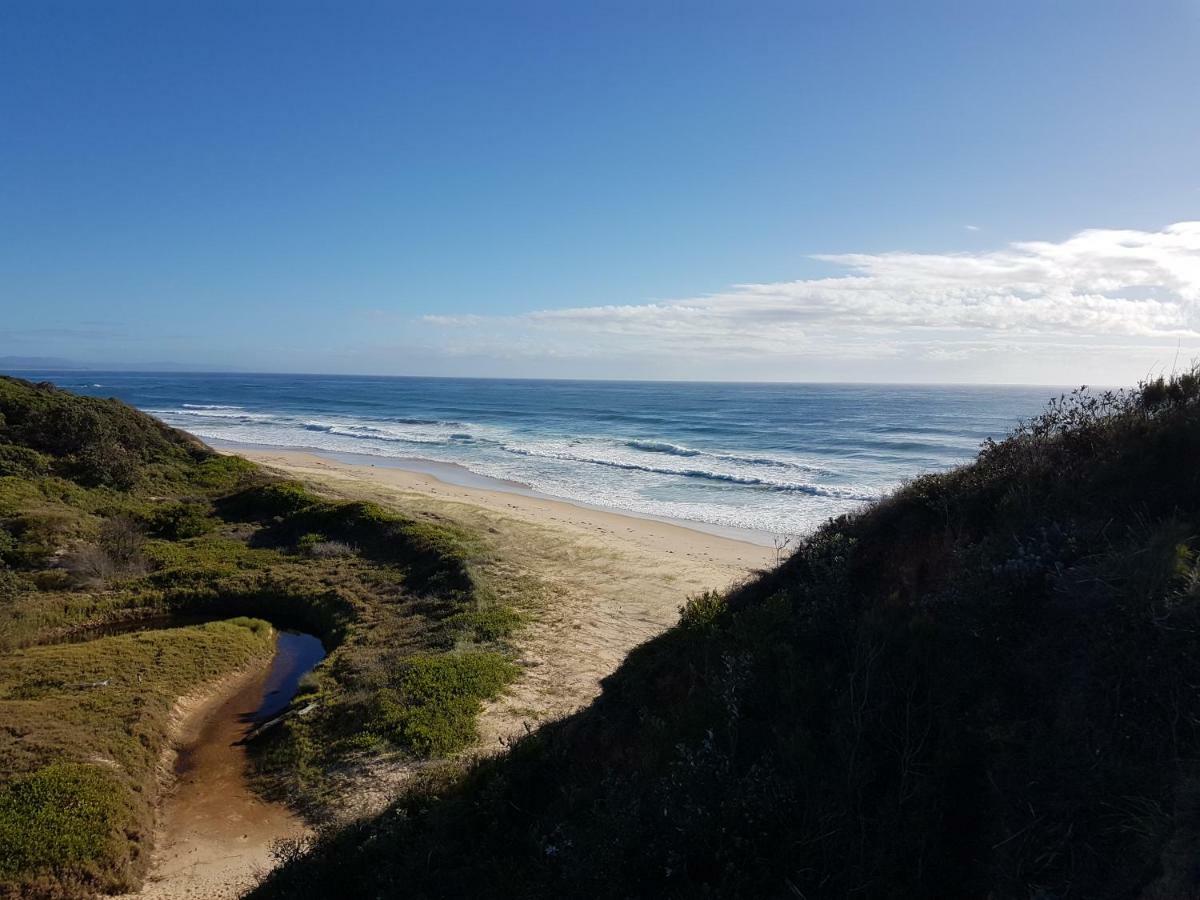 Forest View Bungalow Nambucca Heads Zewnętrze zdjęcie